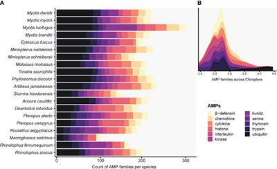 The evolution of antimicrobial peptides in Chiroptera